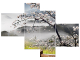 Moderný obraz Kvitnúca višňa