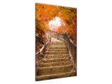 Obraz na plátne Jesenná prechádzka
