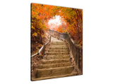 Obraz na plátne Jesenná prechádzka