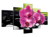 Moderný obraz Orchidey na kameňoch