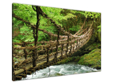 Obraz na plátne Lanovo-bambusový most