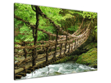 Obraz na plátne Lanovo-bambusový most