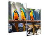 Moderný obraz Tri papagáje