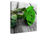 Obraz na stenu Zelená ruža na doskách