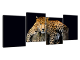 Obraz na plátne Leopard