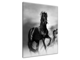 Štýlový obraz Čierny kôň