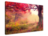 Obraz na plátne Jesenná krajina