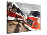 Obraz na plátne Autobus uhorka