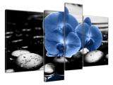 Luxusný obraz Modré orchidey