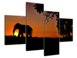 Obraz na stenu Slon pri západe slnka