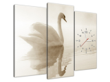 Obraz na stenu s hodinami Nežná labuť