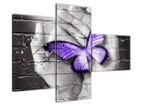 Moderný obraz s hodinami Motýľ v dlaniach