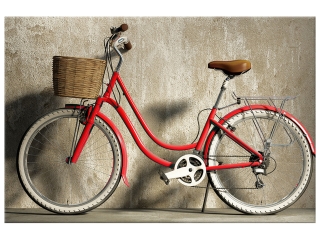 Obraz na stenu Červený bicykel
