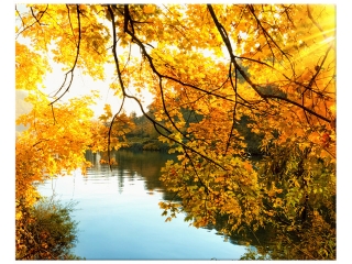 Obraz Jesenné slnko nad riekou