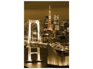 Obraz Most Rainbow Bridge v Tokiu