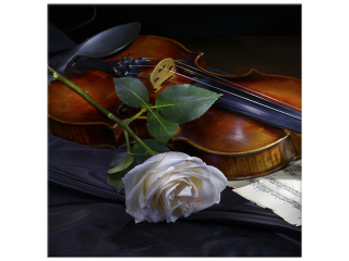 Štýlový obraz Husle s ružou