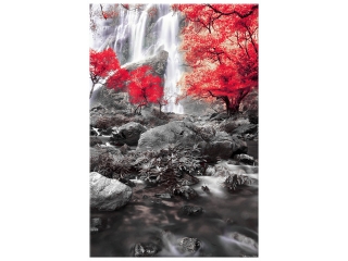 Obraz Jesenný vodopád