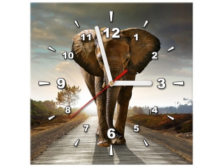 Obraz na plátne s hodinami Slon