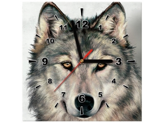 Obraz do chodby s hodinami Sivý vlk