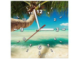 Obraz s hodinami Pekná palma nad Karibikom