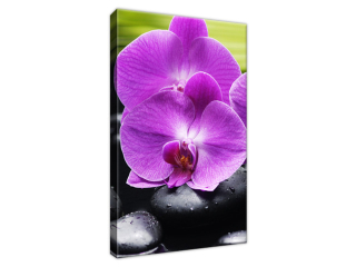 Obraz Orchidea a kamene