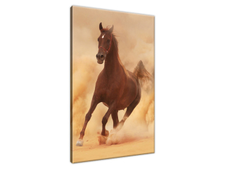 Moderný obraz Kôň v cvale