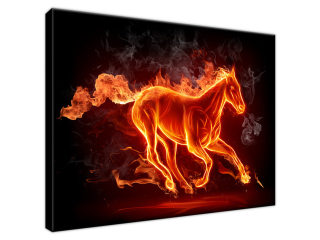 Obraz Koňa v plameňoch