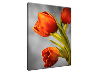 Obraz do obývačky Červené tulipány