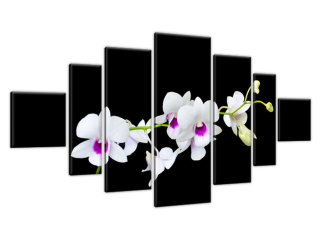 Obraz na stenu do obývačky Vetvička orchidey
