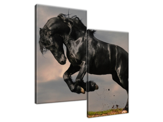 Štýlový obraz Frízsky žrebec