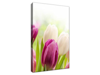 Luxusný obraz Krásne tulipány