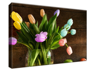 Obraz Farebné tulipány