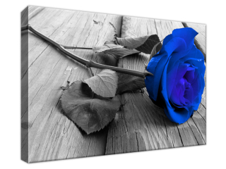 Luxusný obraz Modrá ružička