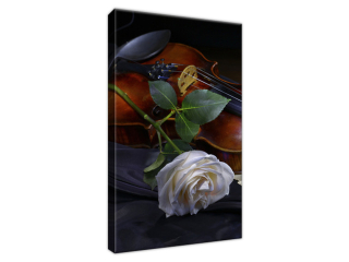 Štýlový obraz Husle s ružou