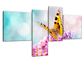 Obraz na stenu Motýľ na kvetoch