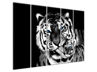 Moderný obraz na stenu Tigre