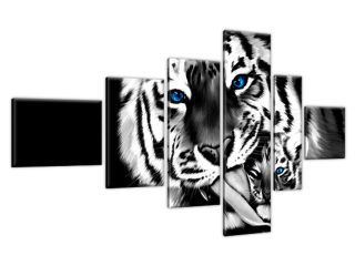 Moderný obraz na stenu Tigre