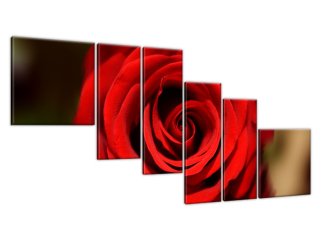 Obraz do obývačky Červená ruža