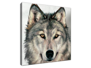 Luxusný obraz na stenu Sivý vlk
