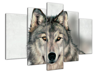 Luxusný obraz na stenu Sivý vlk