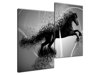 Obraz Fragmentácia Čierno biely kôň - Jakub Banas
