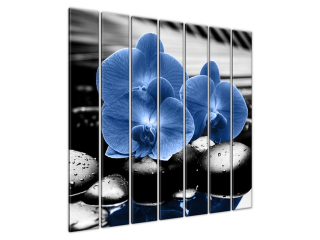 Luxusný obraz Modré orchidey
