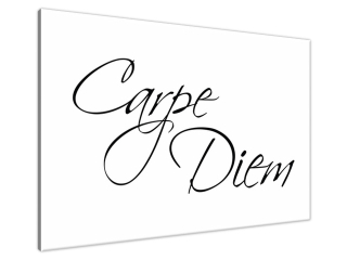 Obraz na plátne s nápisom Carpe Diem