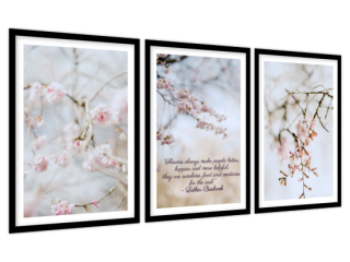 Obraz v ráme Kvitnúca višňa