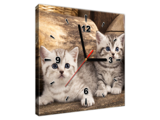 Obraz s hodinami Britské mačiatka