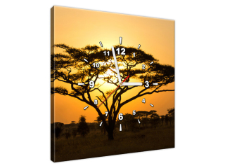 Nástenný obraz s hodinami Akácia v Serengeti
