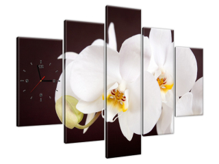 Obraz s hodinami na plátne Pekná orchidea
