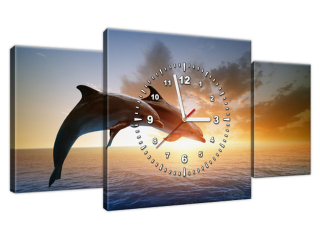 Obraz zvierat s hodinami Delfíny