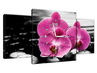 Štýlový obraz s hodinami Ružová krása