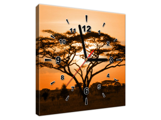 Obraz s hodinami Africká príroda